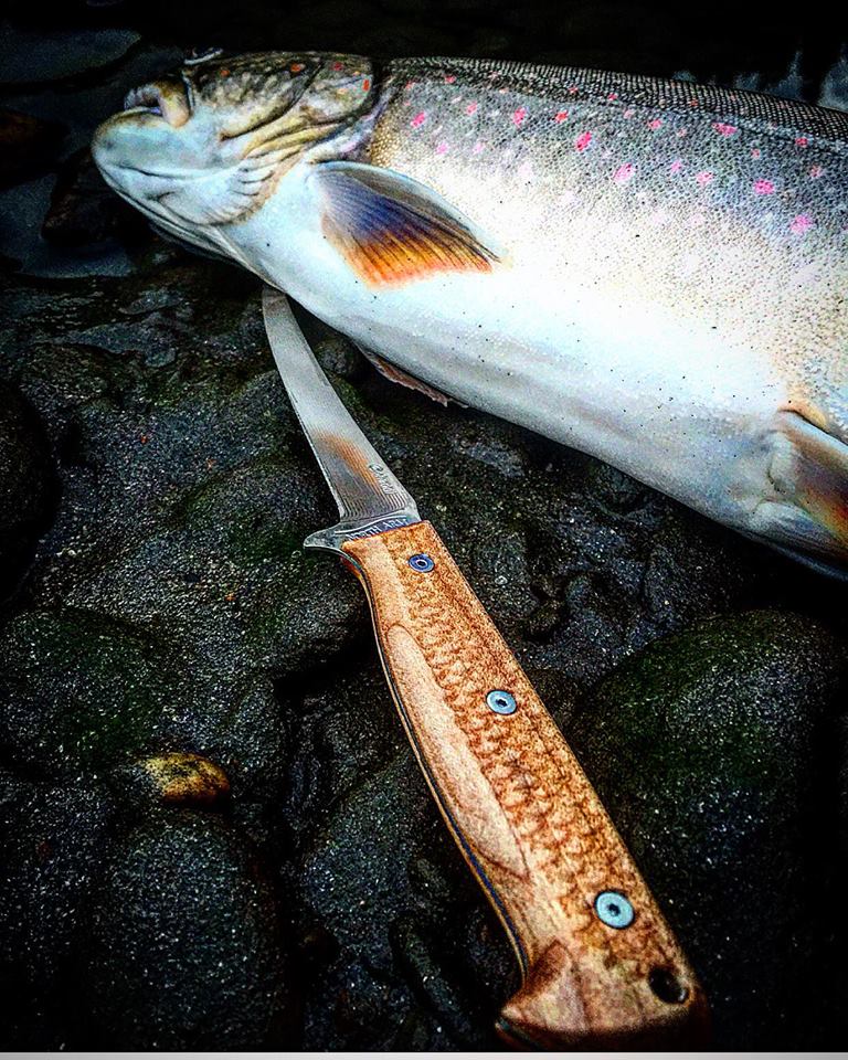 six_inch_fillet_brook_trout