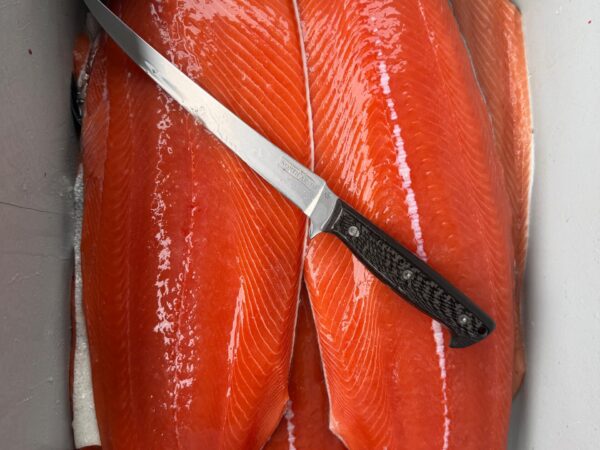 9" Fillet knife laying on top of red Chinook Salmon fillets in a cooler.