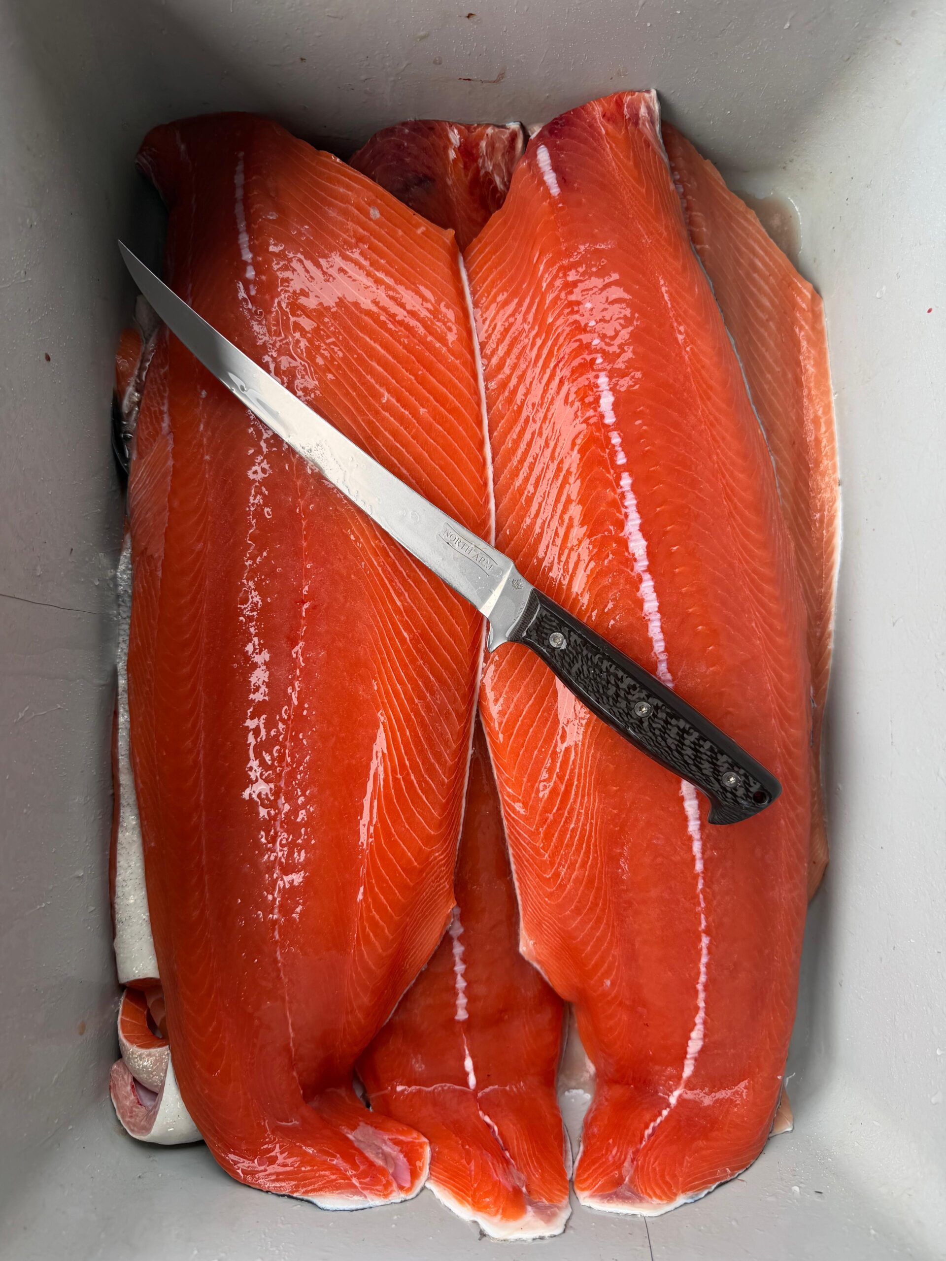 9" Fillet knife laying on top of red Chinook Salmon fillets in a cooler.